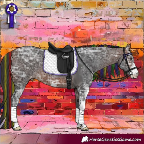 Horse Color:Painted Brown Ice Sabino Appaloosa 