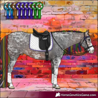 Horse Color:Painted Brown Ice Sabino Appaloosa 