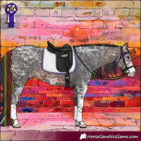 Horse Color:Painted Brown Ice Sabino Appaloosa 