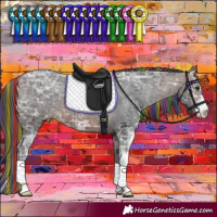 Horse Color:Painted Brown Ice Sabino Appaloosa
