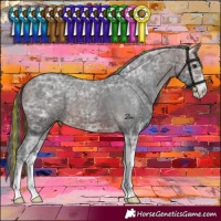 Horse Color:Painted Brown Ice Sabino Appaloosa 