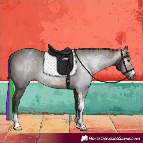 Horse Color:Gray Painted Bay Sabino Varnish 