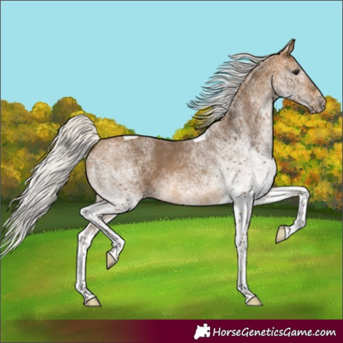 Horse Color:White Spotted Silver Buckskin Tobiano 