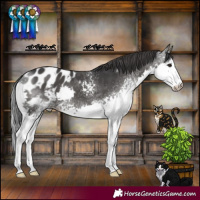 Horse Color:White Spotted Black Splash Blanket