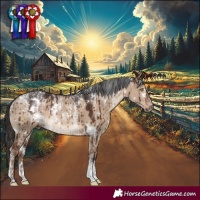 Horse Color:Powder White White Spotted Liver Red Dun Rabicano Brindle