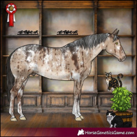 Horse Color:Powder White White Spotted Liver Red Dun Rabicano Brindle