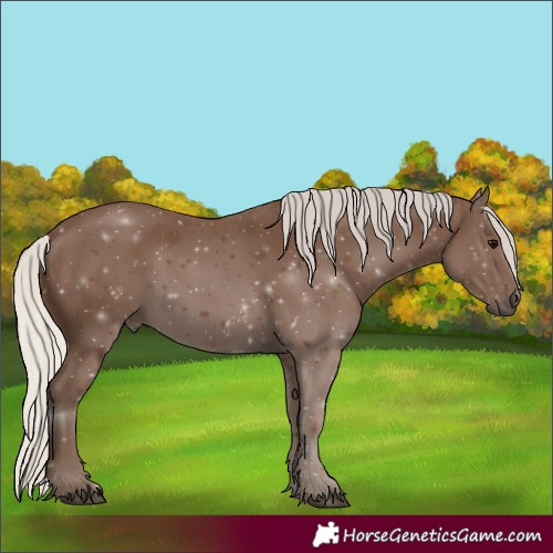 Horse Color:Unknown 