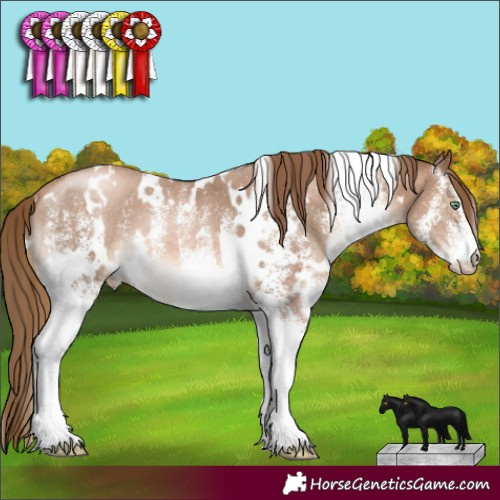 Horse Color:White Spotted Liver Chestnut Pearl