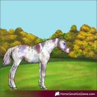 Horse Color:Nacre White Spotted Chocolate Silver Blue Onyx Chinchilla 