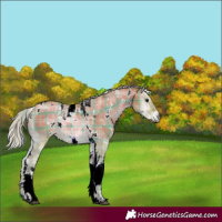 Horse Color:Watercolor Plaid White Spotted Silver Bay Onyx Tobiano
