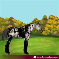 Horse Color:Void Nacre White Spotted Bay Ice Onyx Tobiano