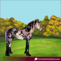Horse Color:Gray Void Painted Watercolor White Spotted Silver Bay Ice Onyx Tobiano