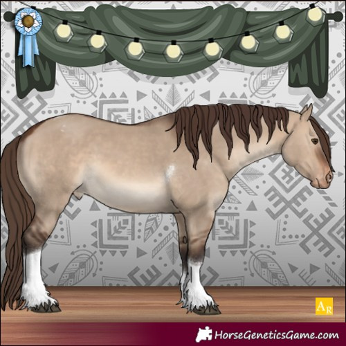 Horse Color:Brown Dun Tobiano Appaloosa 