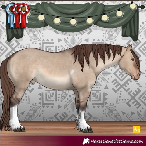 Horse Color:Brown Dun Tobiano Appaloosa 