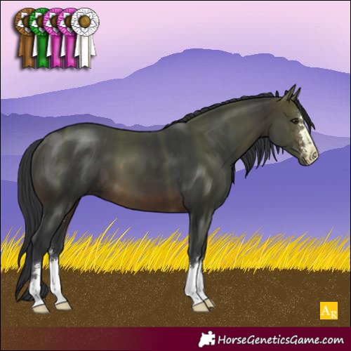 Horse Color:Brown 