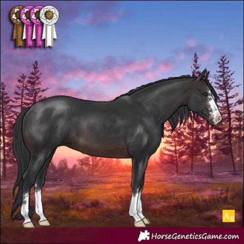 Horse Color:Brown 