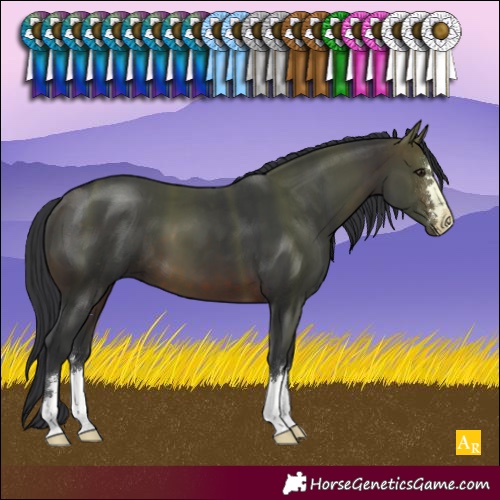 Horse Color:Brown 