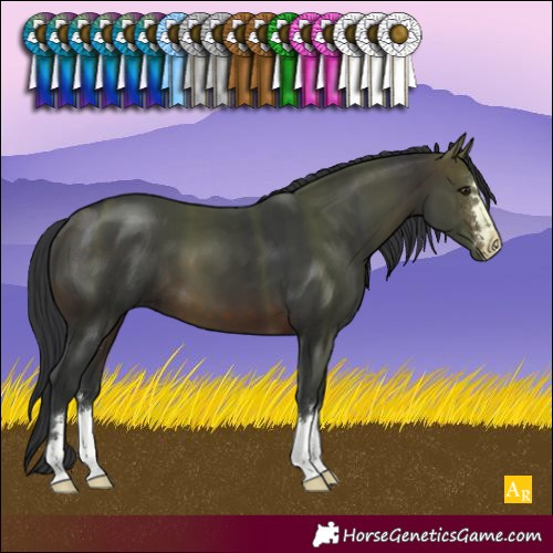 Horse Color:Brown 