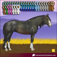 Horse Color:Brown 