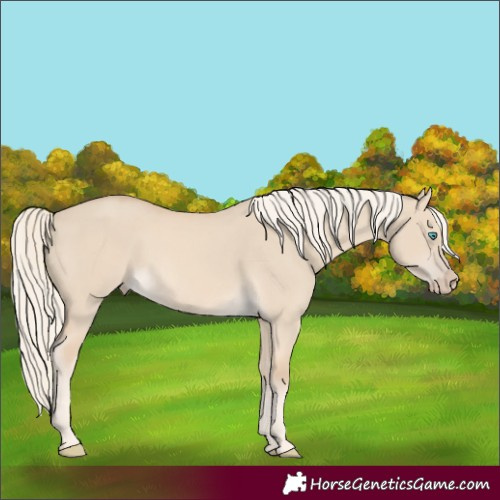 Horse Color:Cremello Dun 