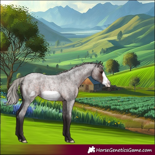 Horse Color:Silver Brown Roan Frame