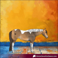 Horse Color:Buckskin Tobiano 