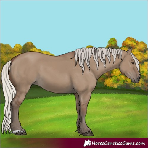 Horse Color:Silver Grullo 