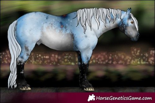 Horse Color:ERROR: UNKNOWN ANOMALY