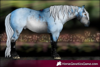 Horse Color:ERROR: UNKNOWN ANOMALY
