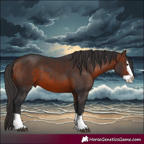 Horse Color:Brown Splash
