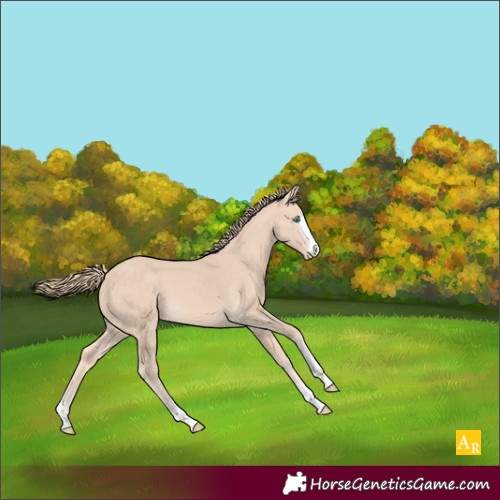 Horse Color:Perlino 