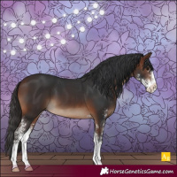 Horse Color:Brown Sabino 