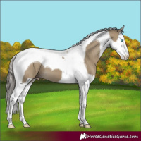 Horse Color:Classic Cream Champagne Splash Tobiano 