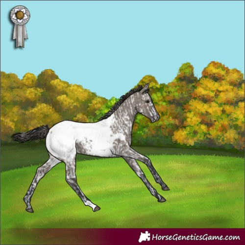Horse Color:Bay Fewspot  and Grullo Snowcap 