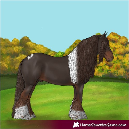 Horse Color:Liver Chestnut Tobiano 