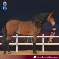 Horse Color:Bay 