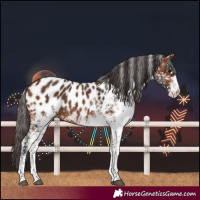 Horse Color:White Spotted Bay Near Leopard