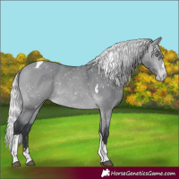 Horse Color:Silver Bay Chinchilla Tobiano Snowflake Varnish