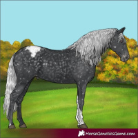 Horse Color:Silver Black Chinchilla Tobiano Snowflake Varnish