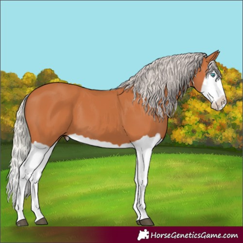 Horse Color:Silver Bay Splash 