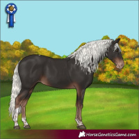 Horse Color:Liver Chestnut Mushroom Tobiano Appaloosa Rabicano 