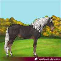 Horse Color:Liver Chestnut Mushroom Tobiano Appaloosa Rabicano