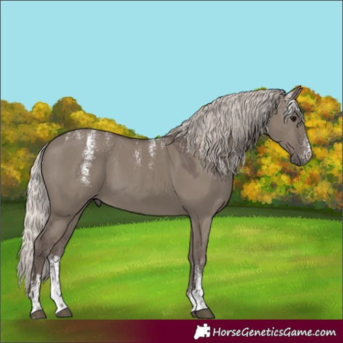 Horse Color:Powder White Silver Grullo 