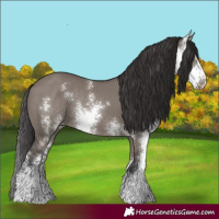 Horse Color:Smoky Grullo Sabino Rabicano 