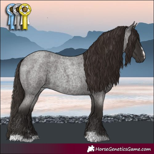 Horse Color:Liver Red Roan 