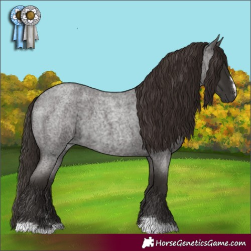 Horse Color:Liver Red Roan 