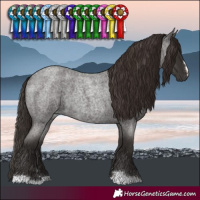 Horse Color:Liver Red Roan 