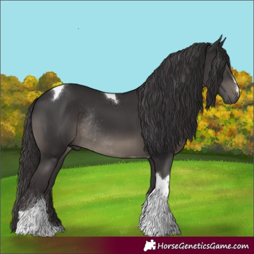 Horse Color:Smoky Black Tobiano Rabicano 