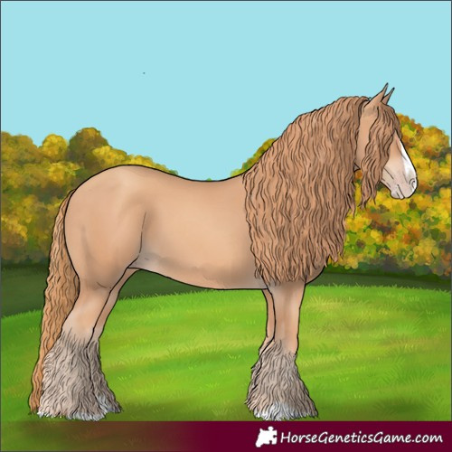 Horse Color:Gold Champagne Splash