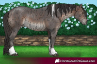 Horse Color:Brown Ice Tobiano Rabicano 
